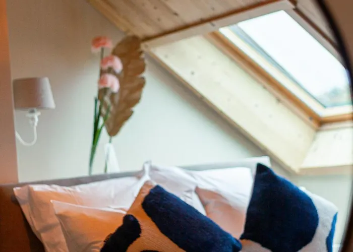 Les Quatre Saisons Hotel Dullin